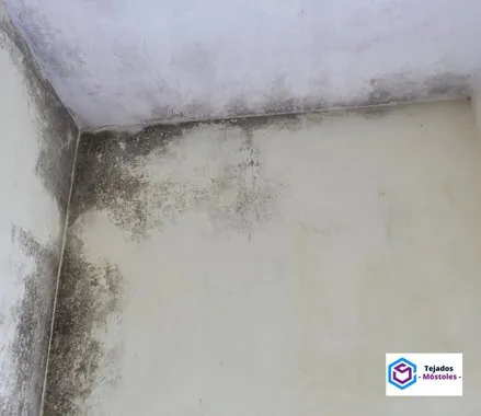 Reparar Humedades por la Cubierta en Móstoles